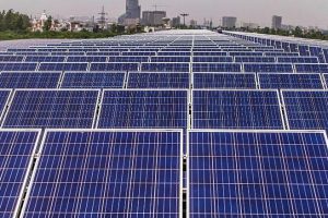 IEA: Điện mặt trời sẽ là ‘vua mới’ trên thị trường